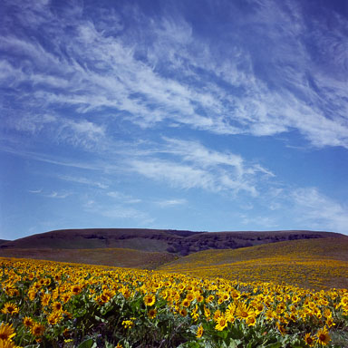 Columbia River Gorge