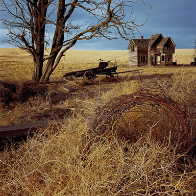 Homesteads