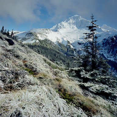 Mount Hood