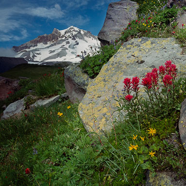 Mount Hood