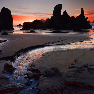 Oregon Coast