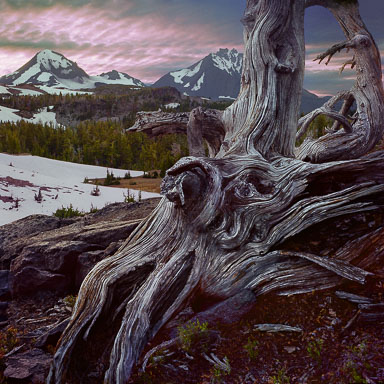 Oregon Desert and Cascade Mountains
