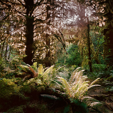 Washington State Cascade Range