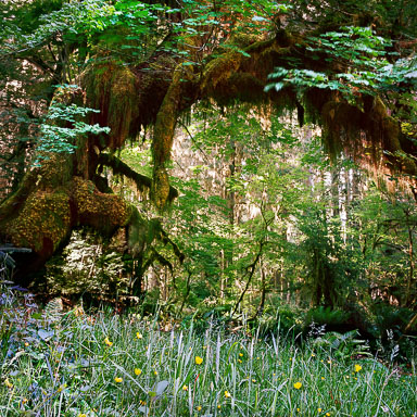 Washington State Cascade Range