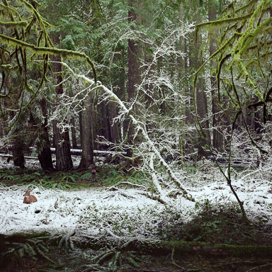 Washington State Cascade Range