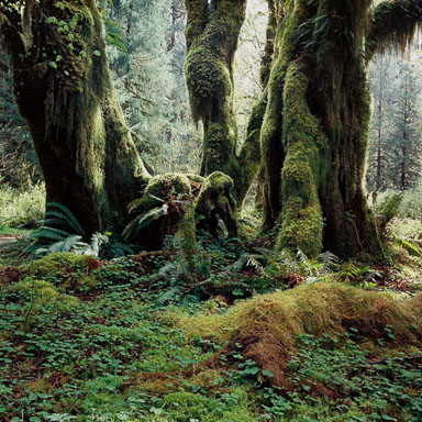Washington State Cascade Range