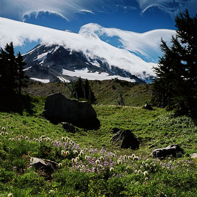 Mount Hood